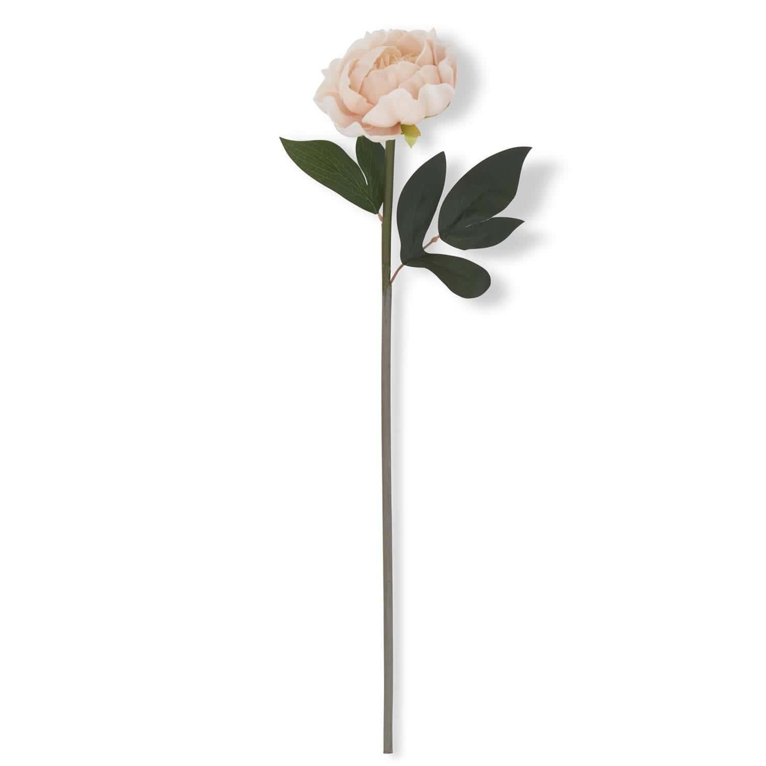 Light Peach Real Touch Peony